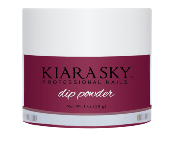 216 1plane and simple